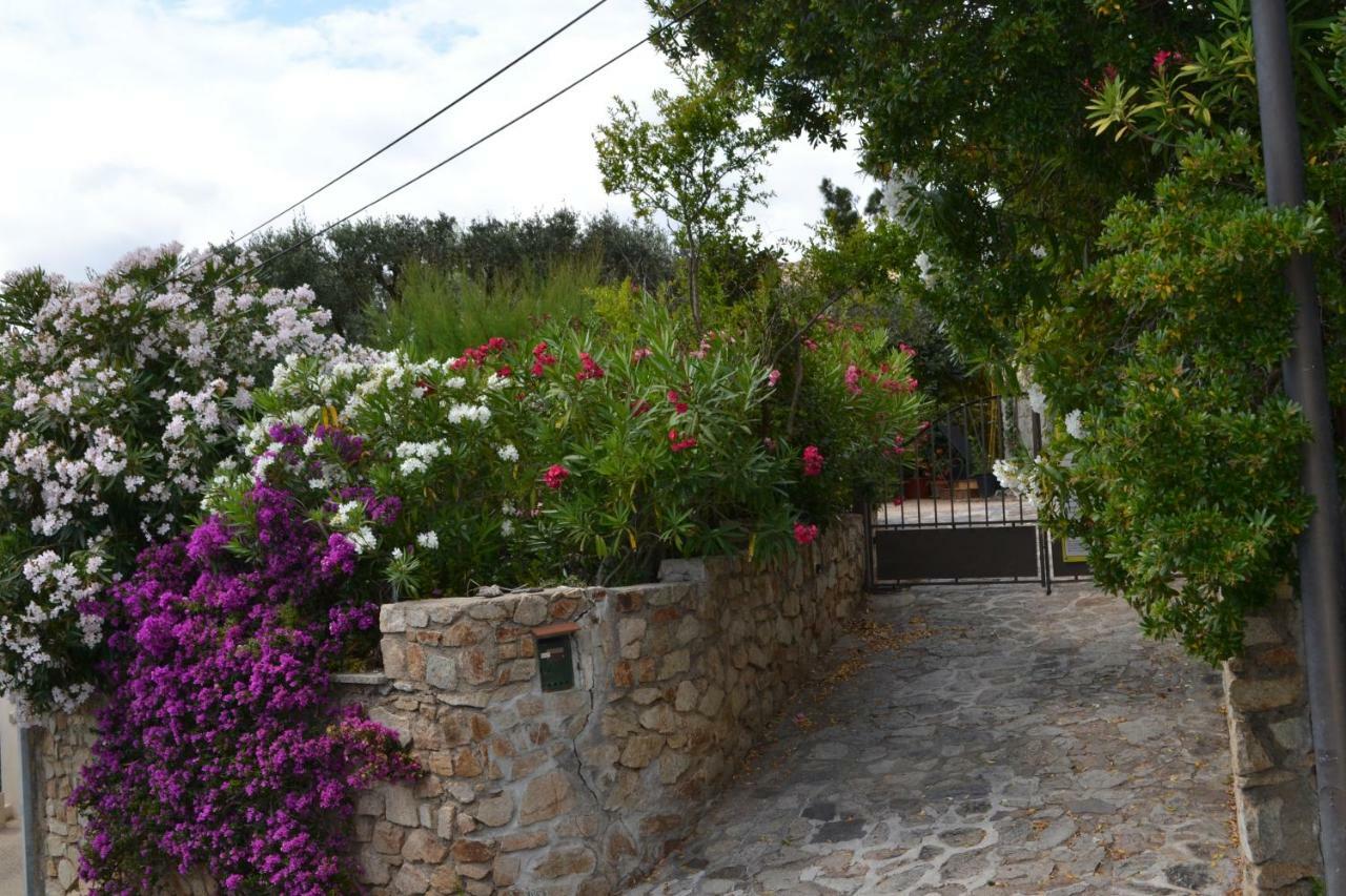 Apartment Les Moulins Saint-Tropez Ngoại thất bức ảnh